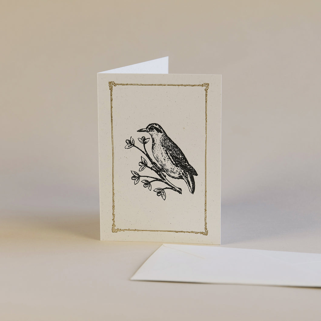 Bird on Branch Letterpress Greetings Card