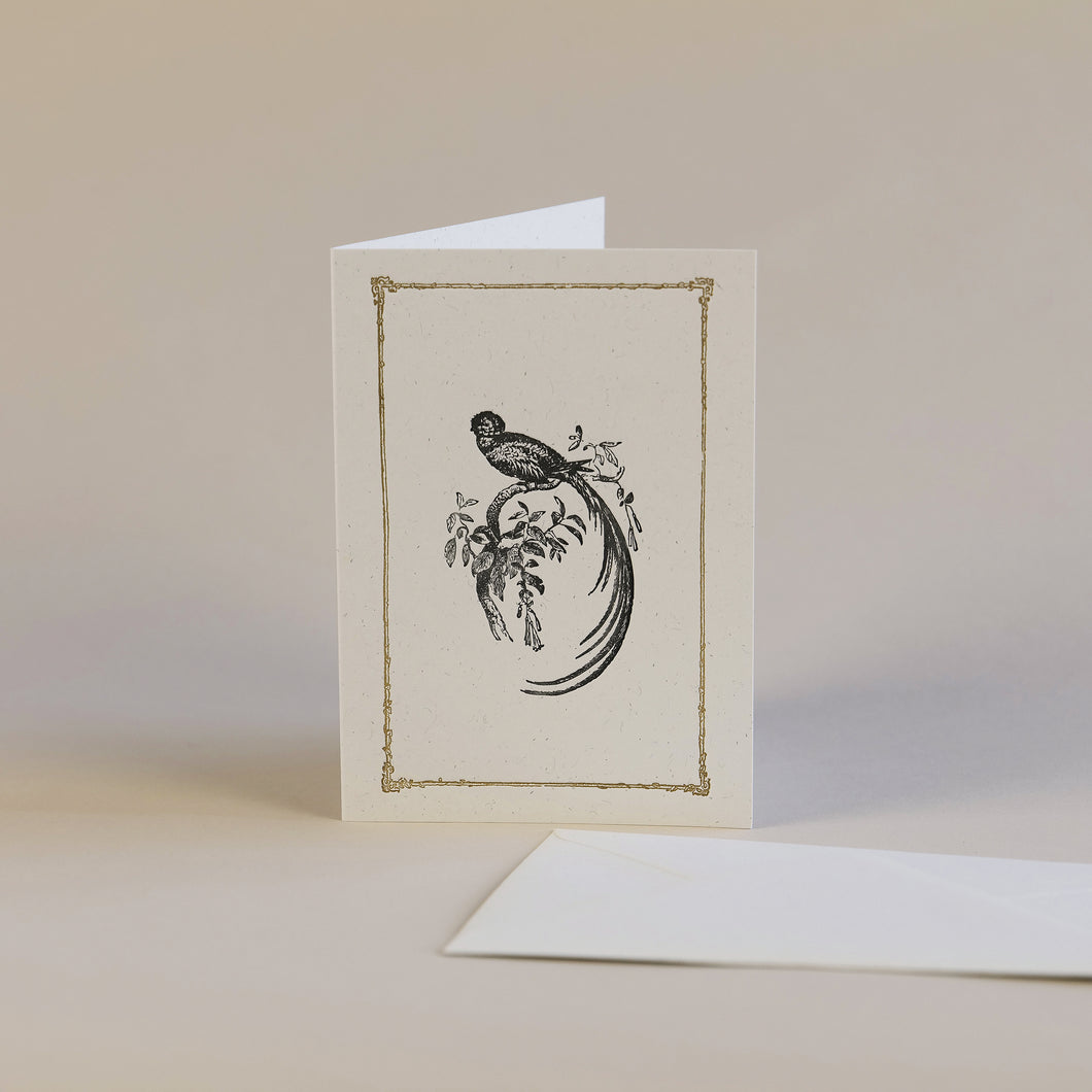 Botanical Bird Letterpress Greetings Card