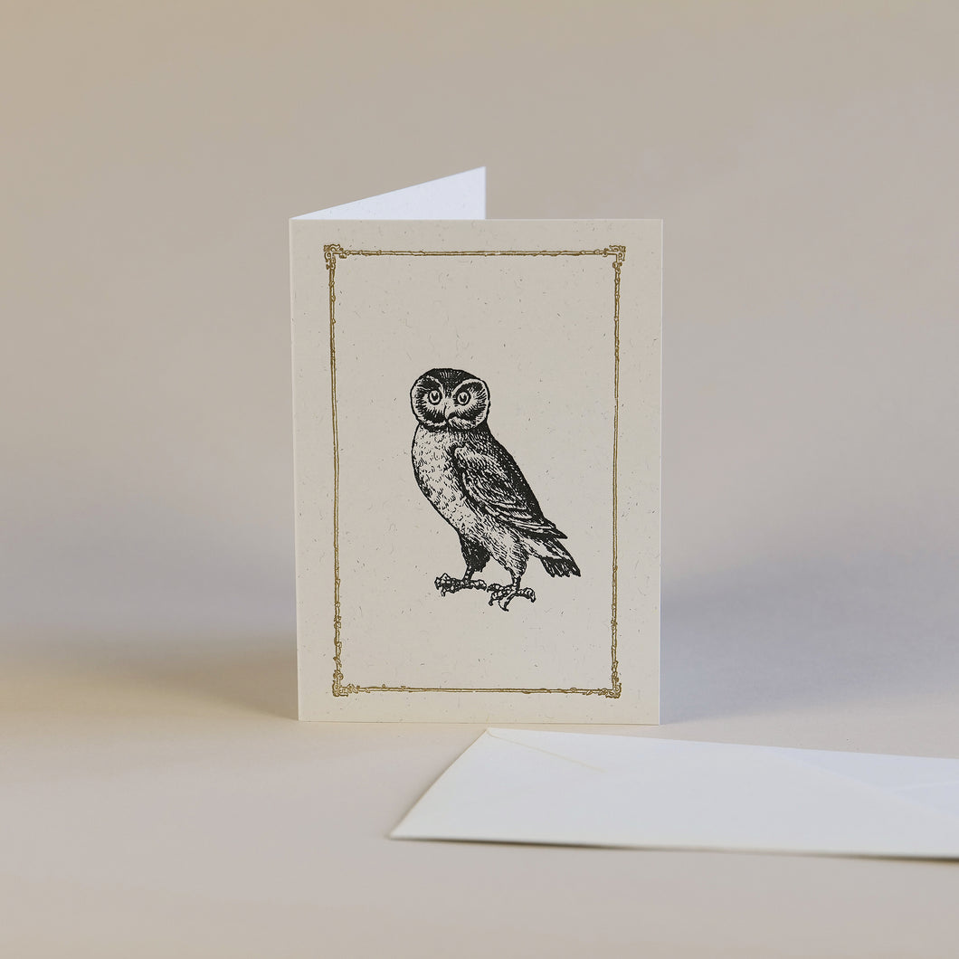 Owl Letterpress Greetings Card