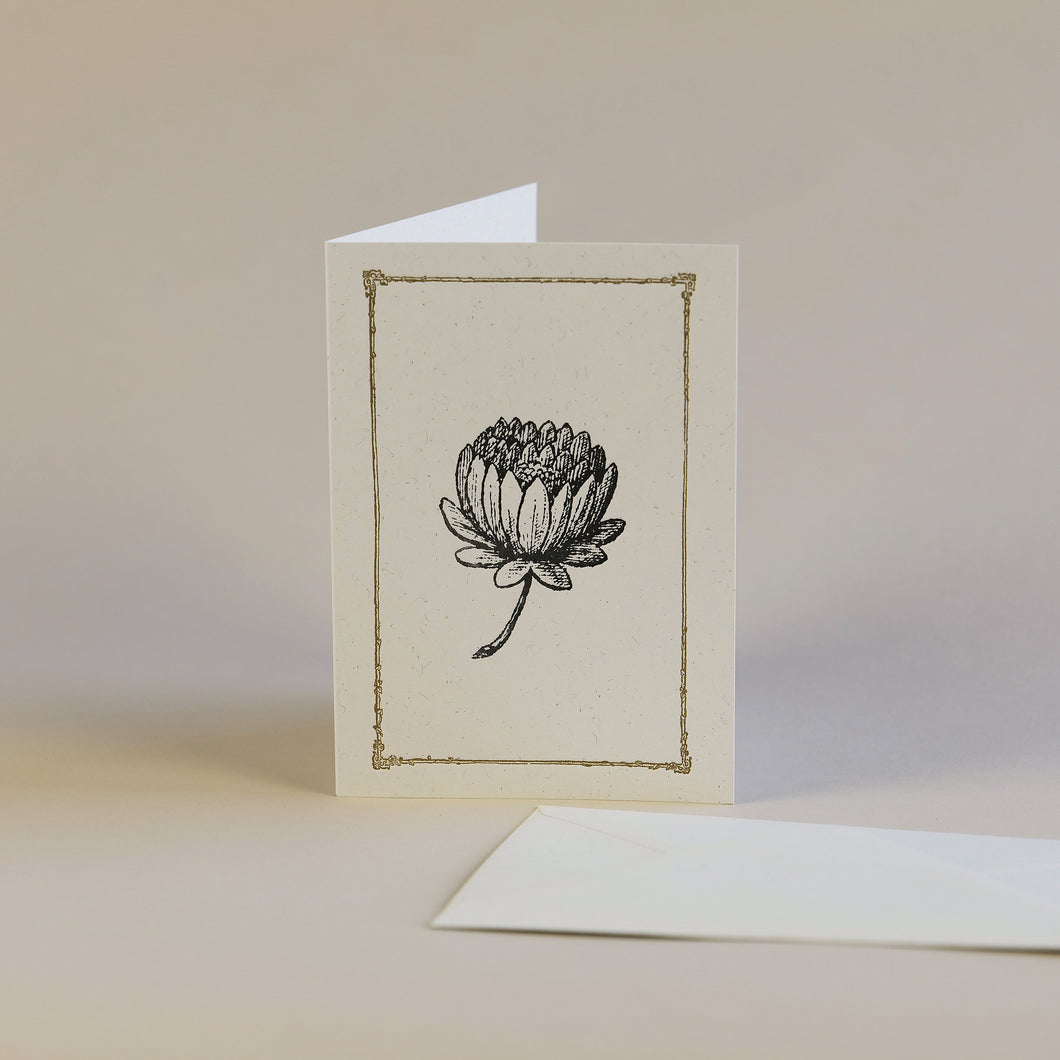 Protea Flower Letterpress Greetings Card