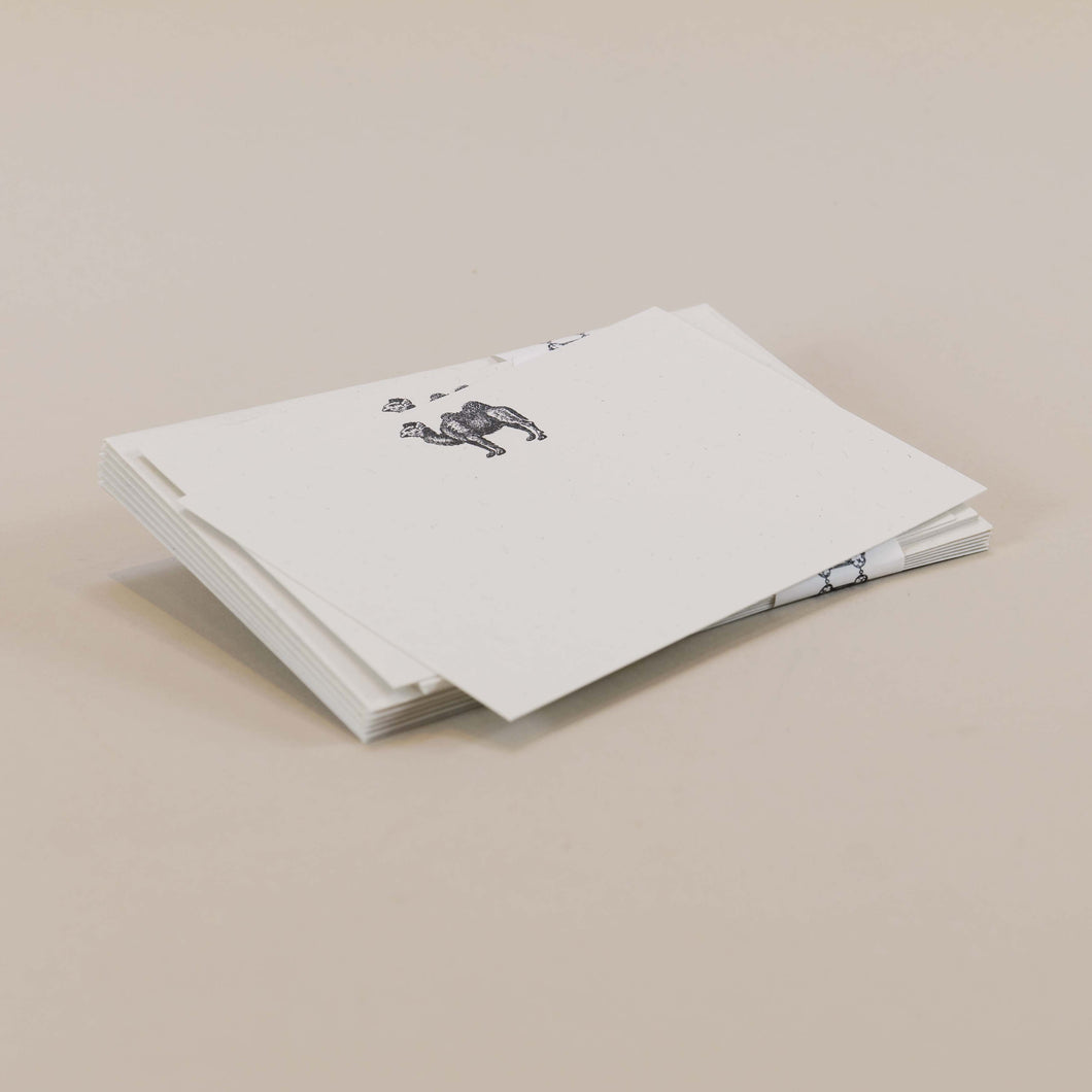 Camel Letterpress Notecard Set